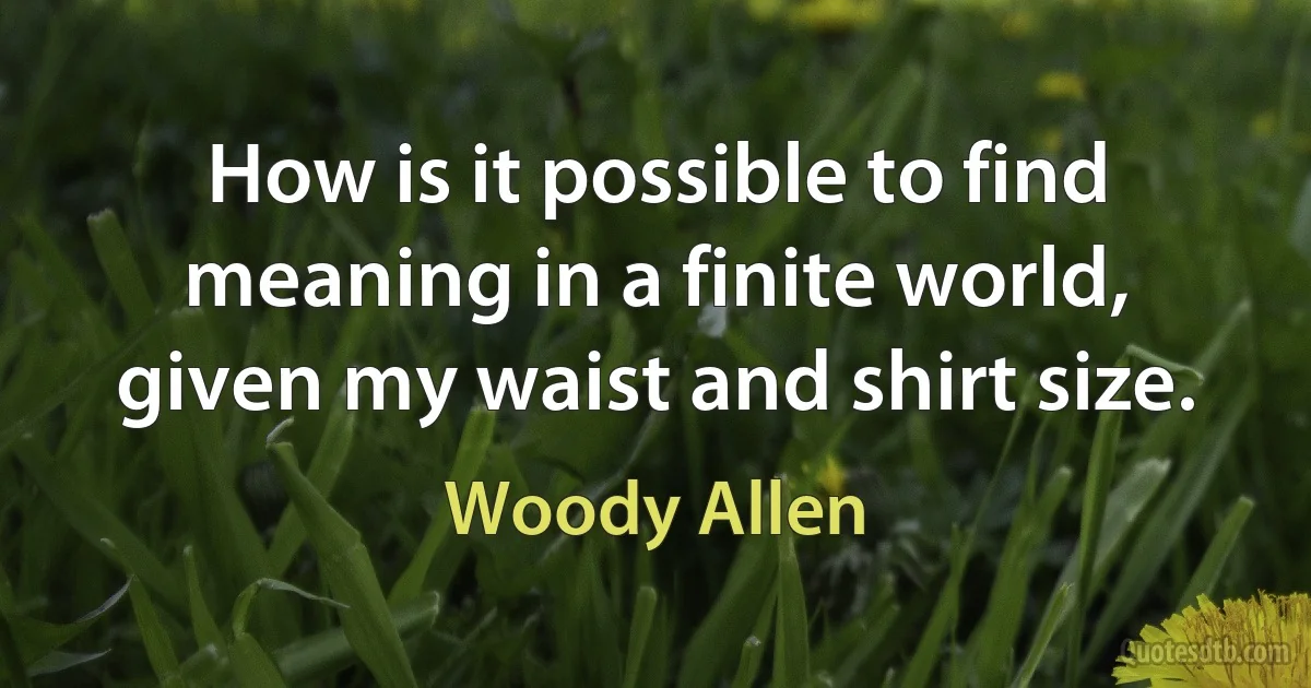 How is it possible to find meaning in a finite world, given my waist and shirt size. (Woody Allen)