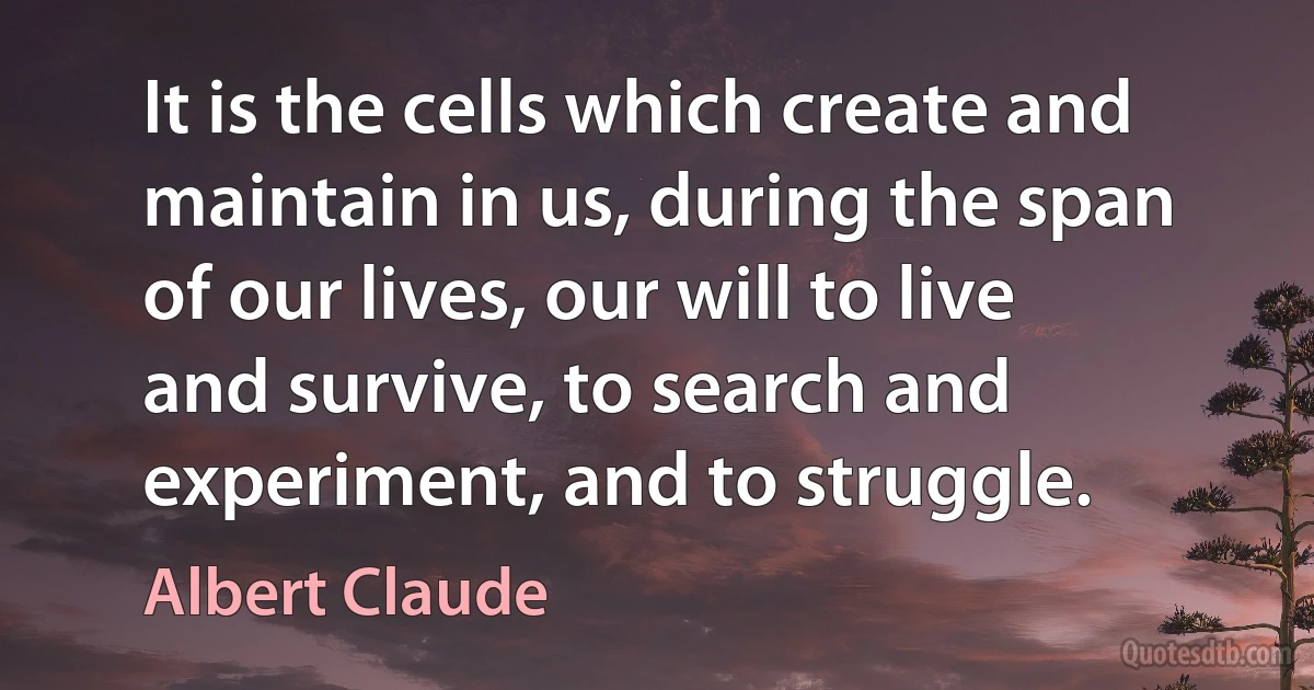 It is the cells which create and maintain in us, during the span of our lives, our will to live and survive, to search and experiment, and to struggle. (Albert Claude)