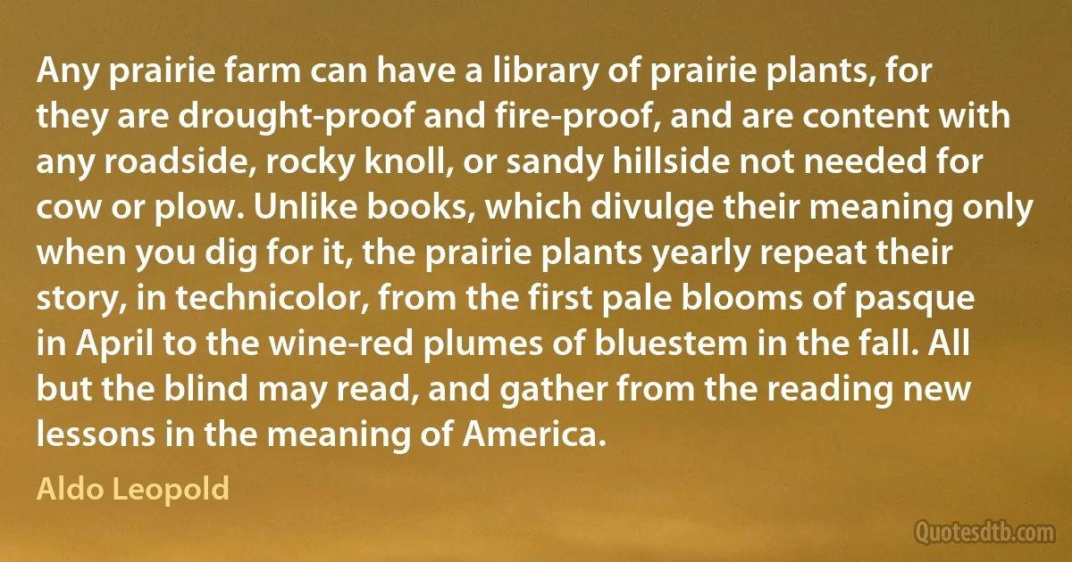 Any prairie farm can have a library of prairie plants, for they are drought-proof and fire-proof, and are content with any roadside, rocky knoll, or sandy hillside not needed for cow or plow. Unlike books, which divulge their meaning only when you dig for it, the prairie plants yearly repeat their story, in technicolor, from the first pale blooms of pasque in April to the wine-red plumes of bluestem in the fall. All but the blind may read, and gather from the reading new lessons in the meaning of America. (Aldo Leopold)