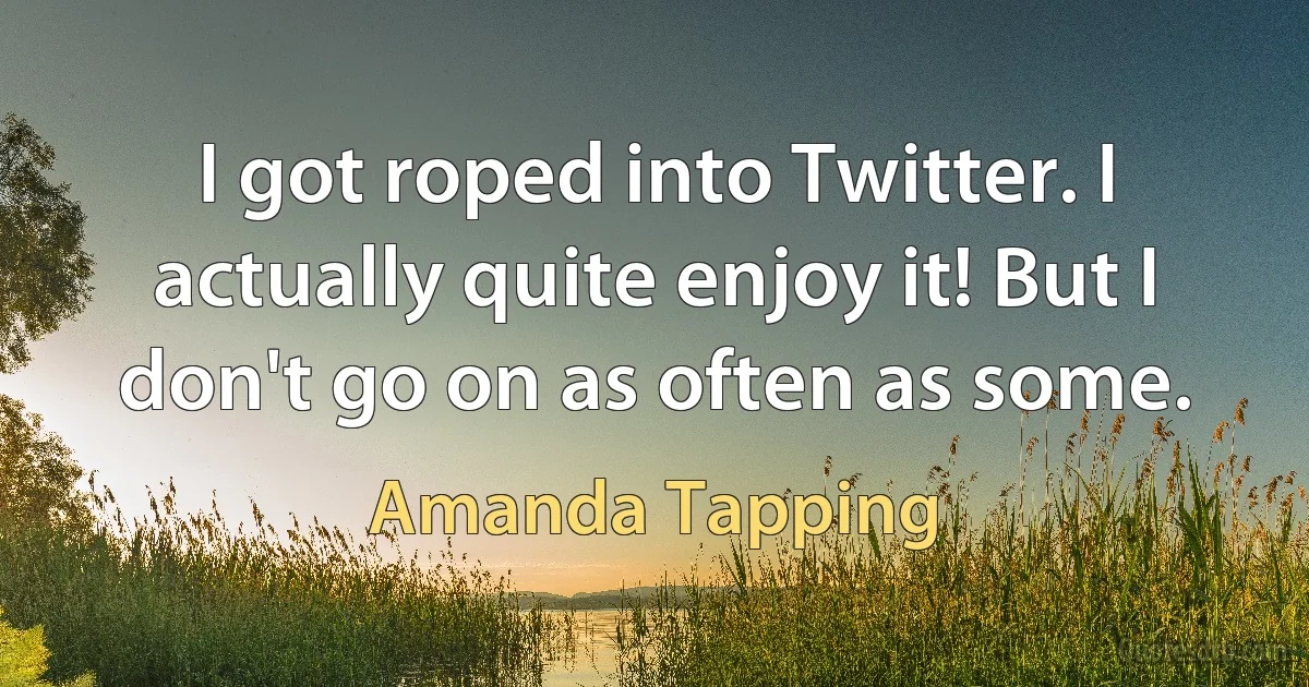 I got roped into Twitter. I actually quite enjoy it! But I don't go on as often as some. (Amanda Tapping)