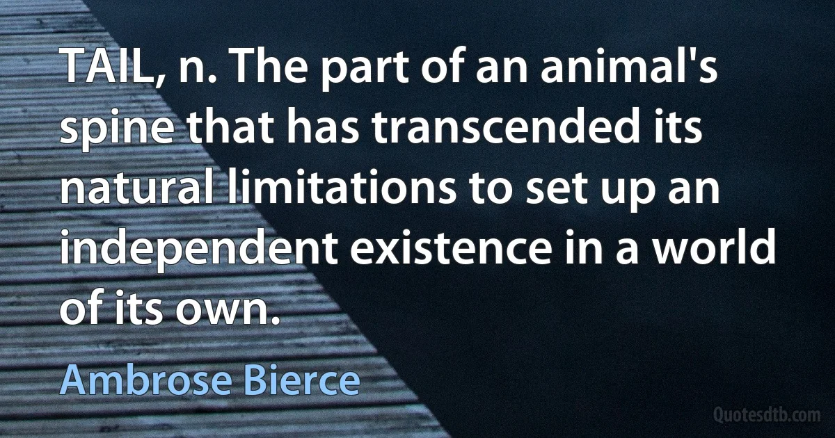 TAIL, n. The part of an animal's spine that has transcended its natural limitations to set up an independent existence in a world of its own. (Ambrose Bierce)