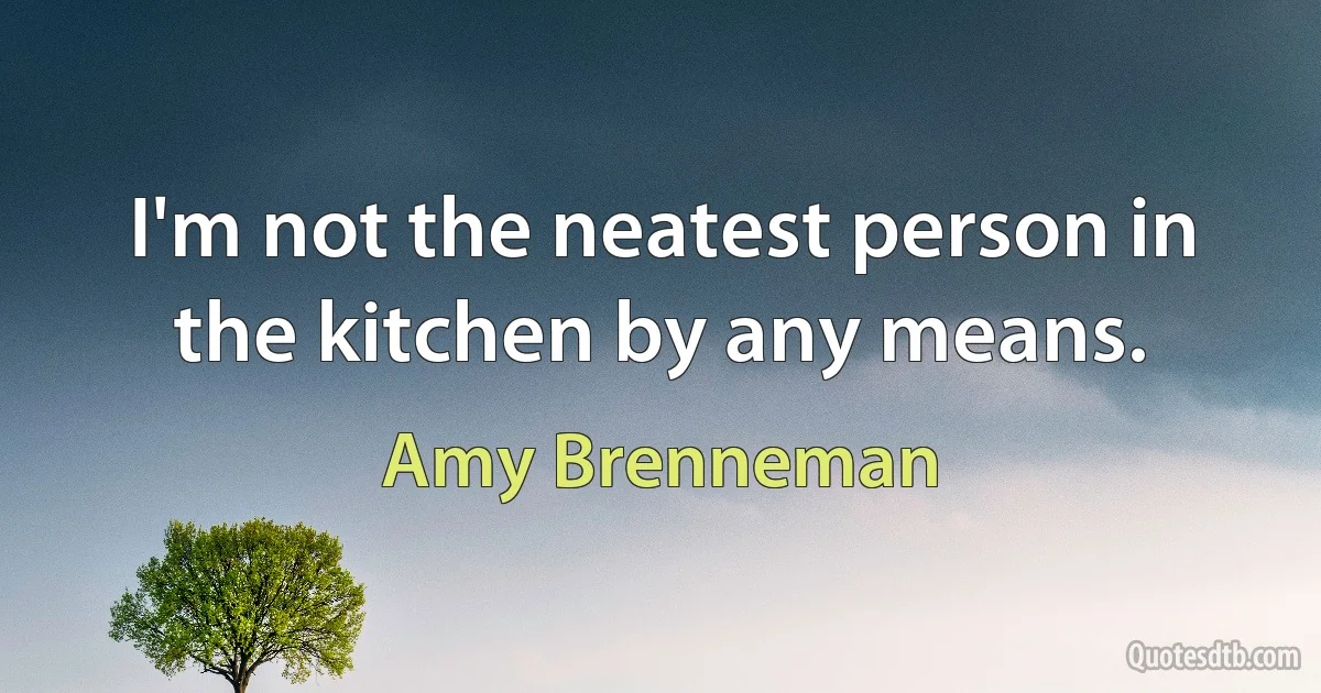 I'm not the neatest person in the kitchen by any means. (Amy Brenneman)