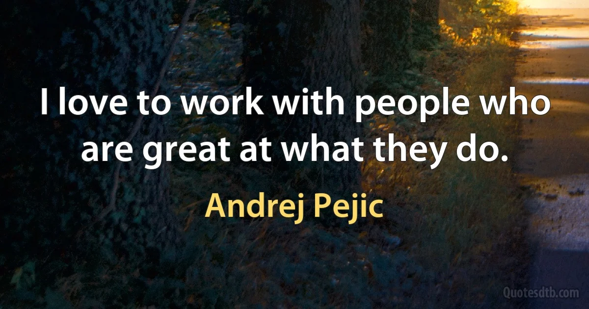 I love to work with people who are great at what they do. (Andrej Pejic)