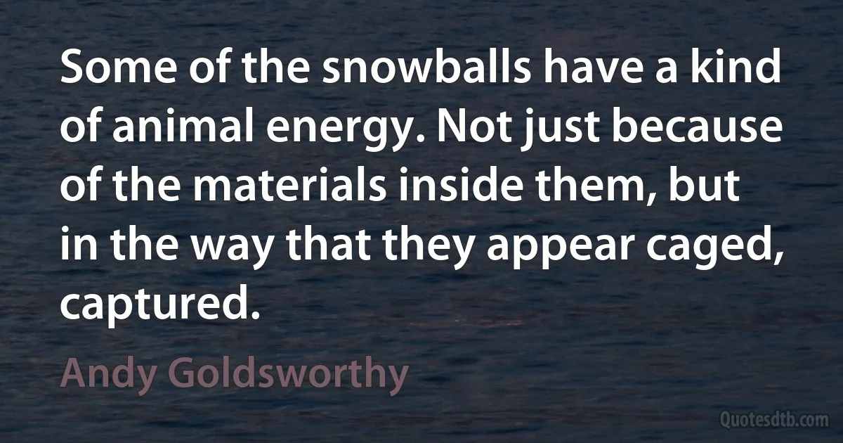 Some of the snowballs have a kind of animal energy. Not just because of the materials inside them, but in the way that they appear caged, captured. (Andy Goldsworthy)