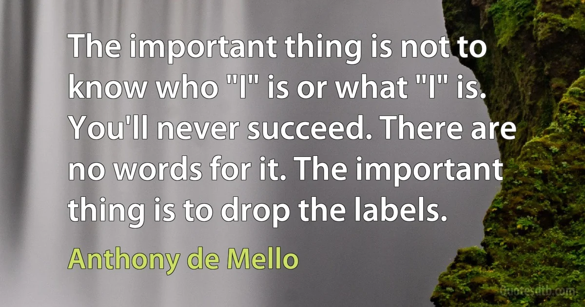 The important thing is not to know who "I" is or what "I" is. You'll never succeed. There are no words for it. The important thing is to drop the labels. (Anthony de Mello)