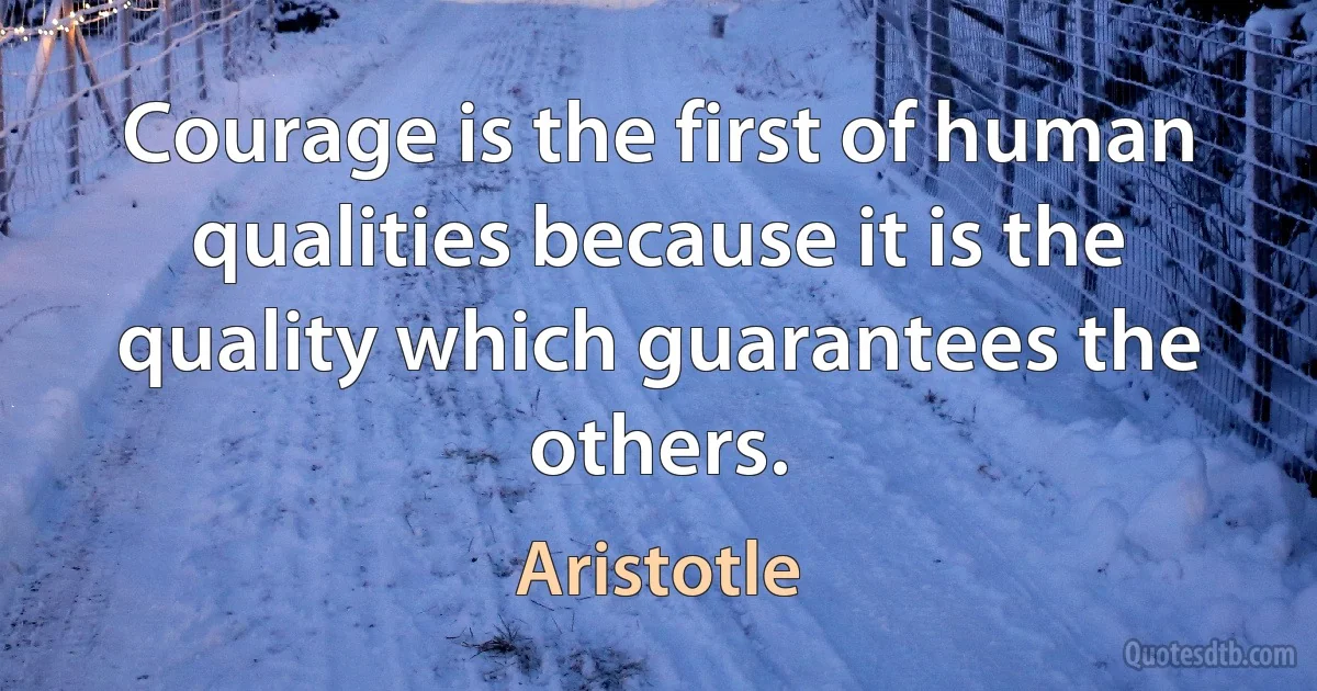 Courage is the first of human qualities because it is the quality which guarantees the others. (Aristotle)