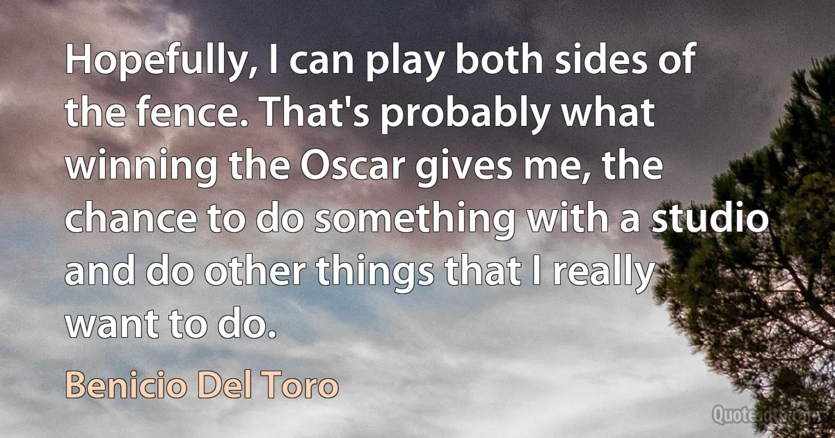 Hopefully, I can play both sides of the fence. That's probably what winning the Oscar gives me, the chance to do something with a studio and do other things that I really want to do. (Benicio Del Toro)