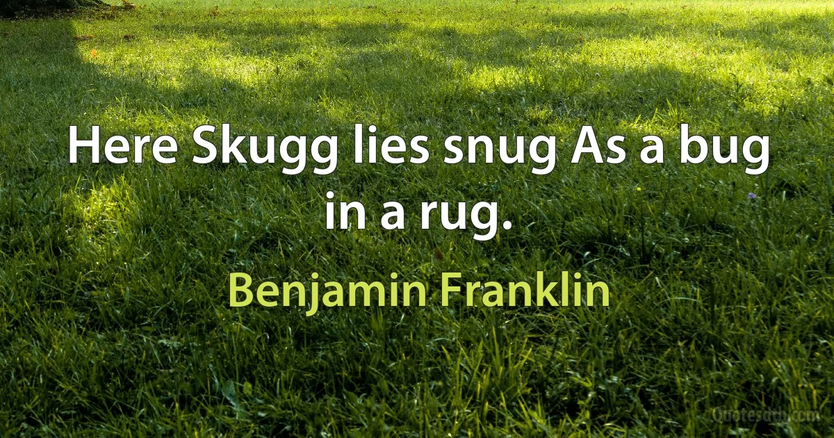 Here Skugg lies snug As a bug in a rug. (Benjamin Franklin)