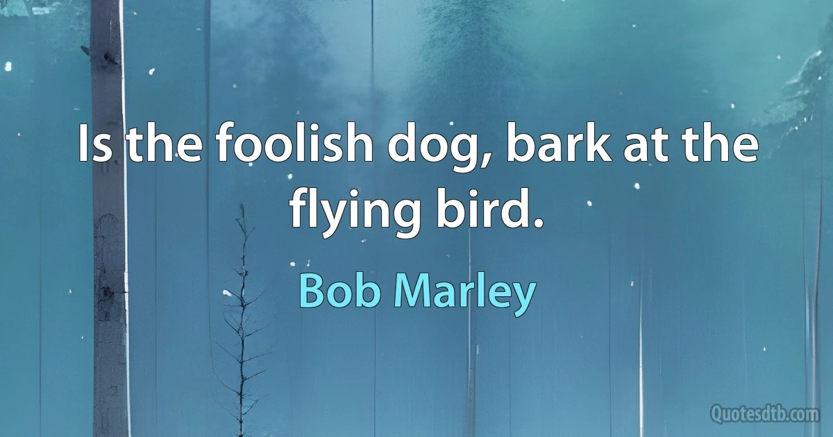 Is the foolish dog, bark at the flying bird. (Bob Marley)