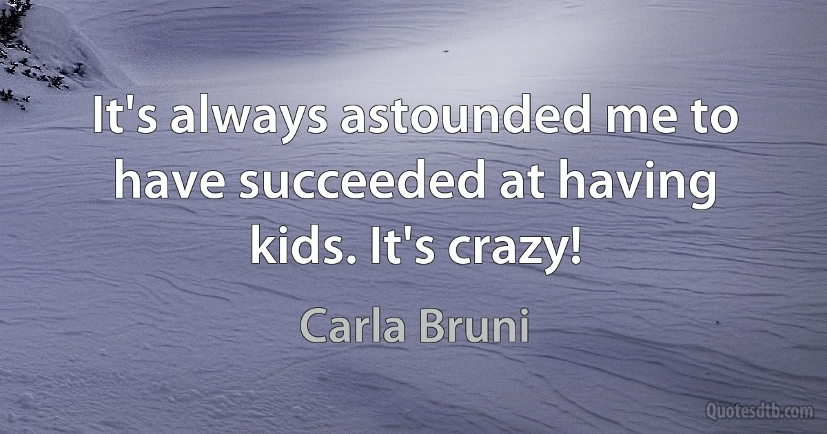 It's always astounded me to have succeeded at having kids. It's crazy! (Carla Bruni)