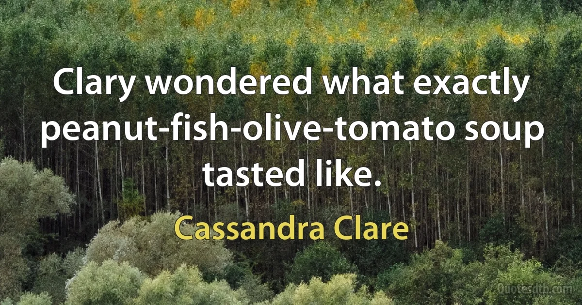 Clary wondered what exactly peanut-fish-olive-tomato soup tasted like. (Cassandra Clare)