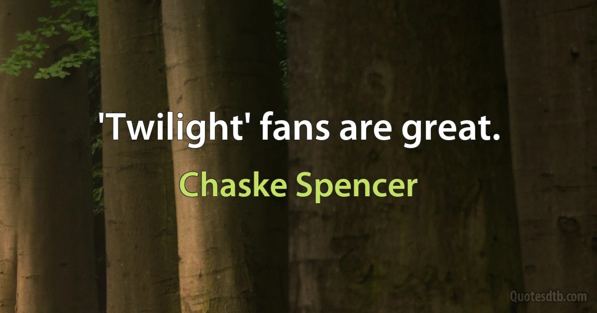 'Twilight' fans are great. (Chaske Spencer)