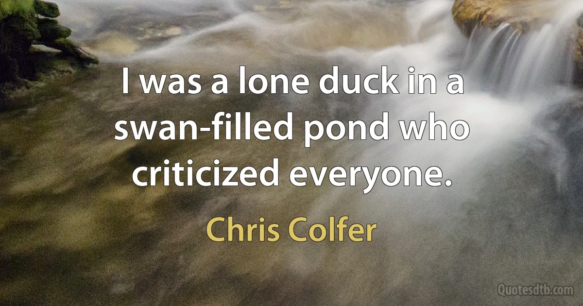 I was a lone duck in a swan-filled pond who criticized everyone. (Chris Colfer)