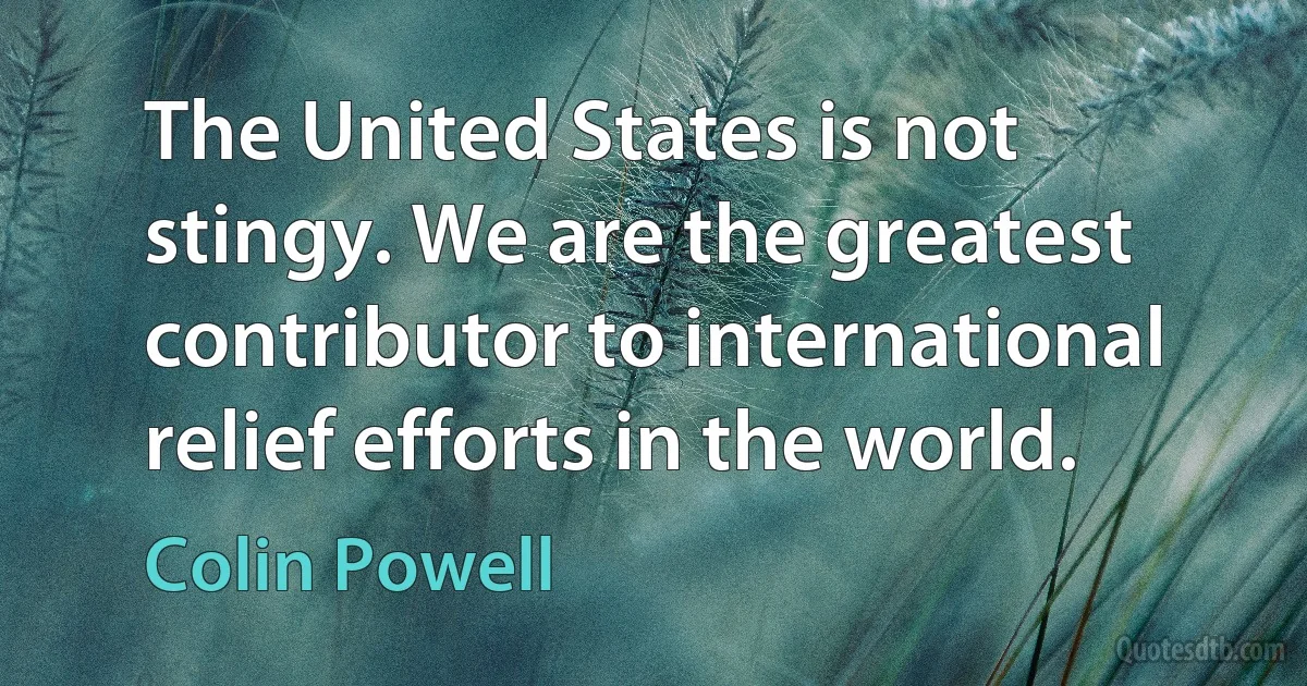 The United States is not stingy. We are the greatest contributor to international relief efforts in the world. (Colin Powell)