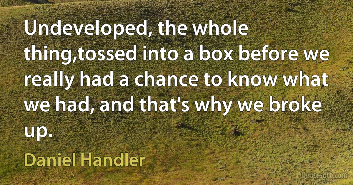 Undeveloped, the whole thing,tossed into a box before we really had a chance to know what we had, and that's why we broke up. (Daniel Handler)