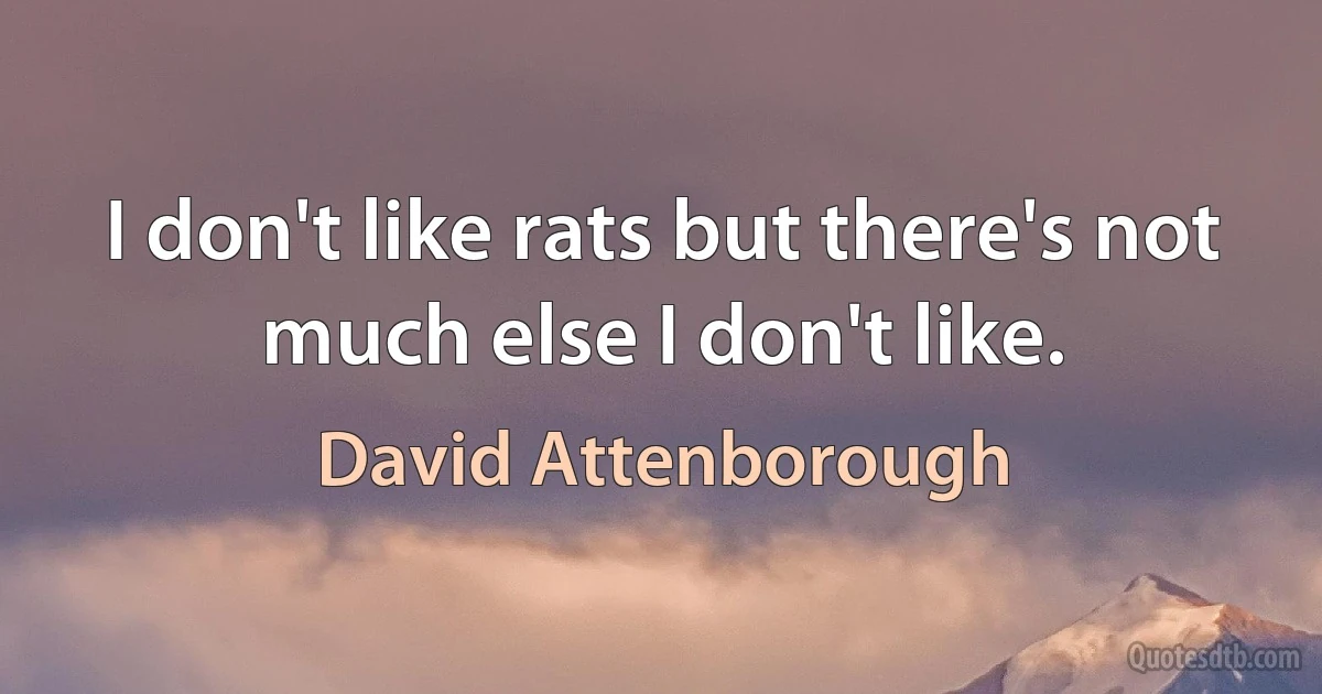 I don't like rats but there's not much else I don't like. (David Attenborough)