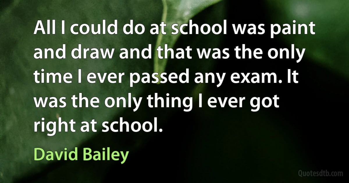 All I could do at school was paint and draw and that was the only time I ever passed any exam. It was the only thing I ever got right at school. (David Bailey)