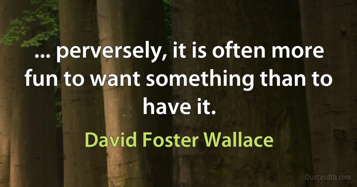 ... perversely, it is often more fun to want something than to have it. (David Foster Wallace)