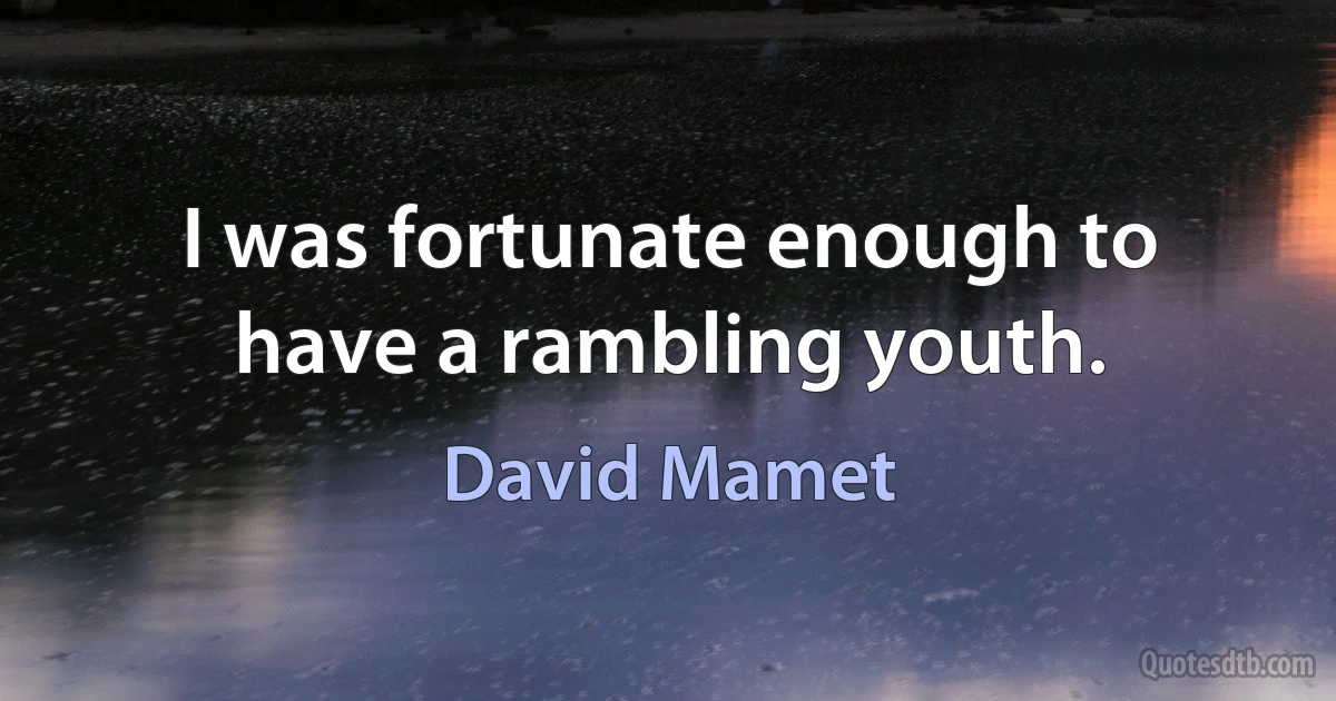 I was fortunate enough to have a rambling youth. (David Mamet)