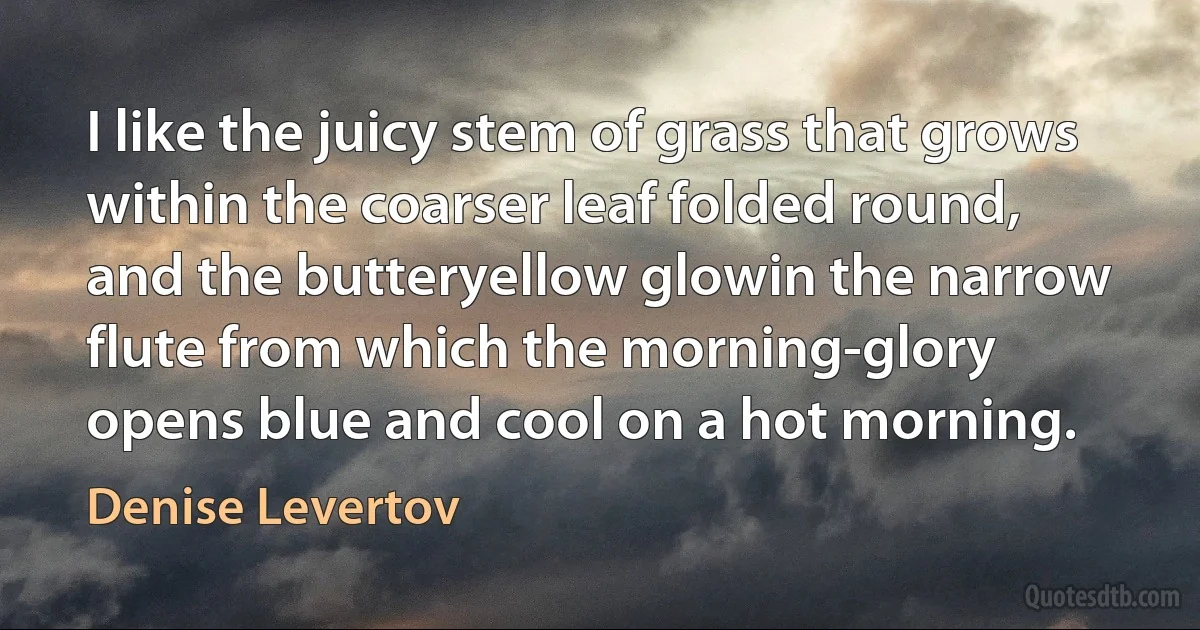 I like the juicy stem of grass that grows
within the coarser leaf folded round,
and the butteryellow glowin the narrow flute from which the morning-glory
opens blue and cool on a hot morning. (Denise Levertov)