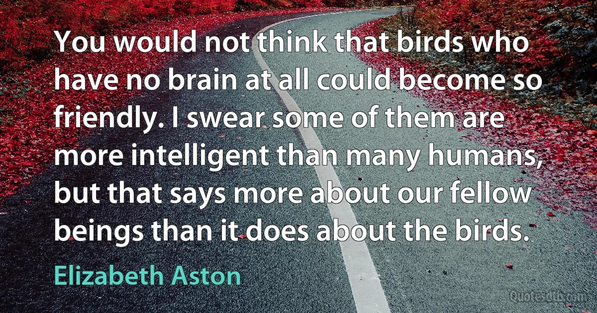 You would not think that birds who have no brain at all could become so friendly. I swear some of them are more intelligent than many humans, but that says more about our fellow beings than it does about the birds. (Elizabeth Aston)