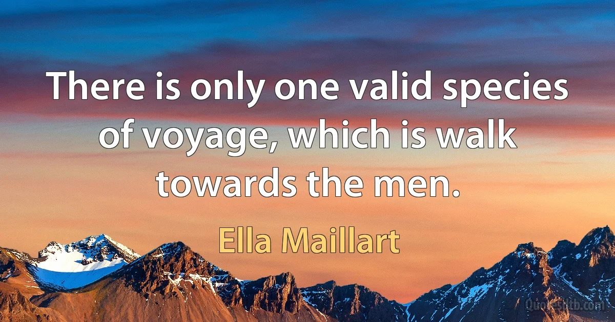 There is only one valid species of voyage, which is walk towards the men. (Ella Maillart)