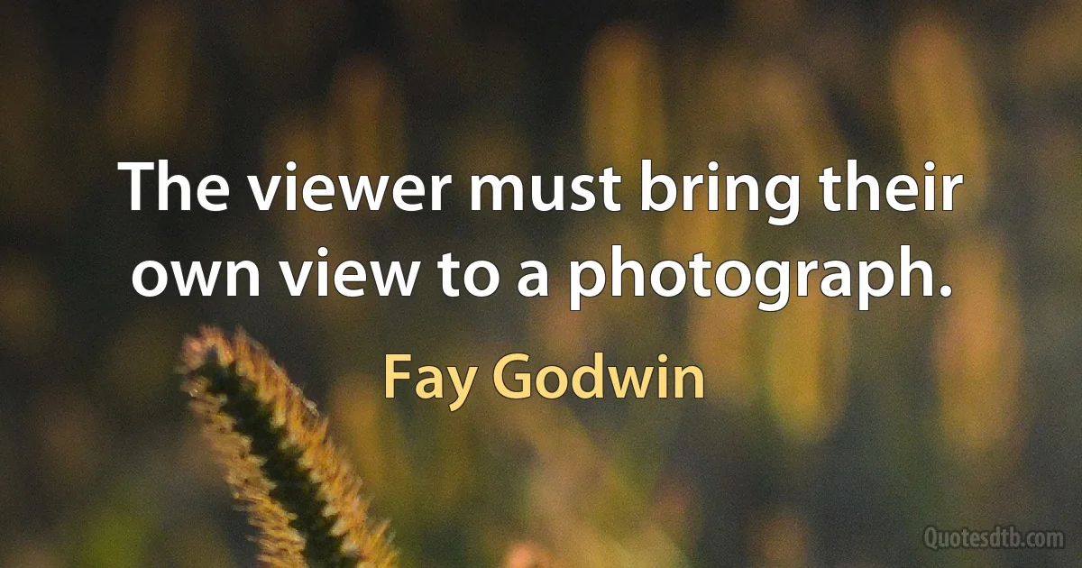 The viewer must bring their own view to a photograph. (Fay Godwin)