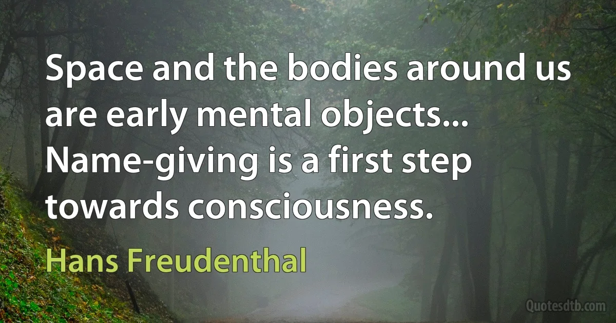 Space and the bodies around us are early mental objects... Name-giving is a first step towards consciousness. (Hans Freudenthal)