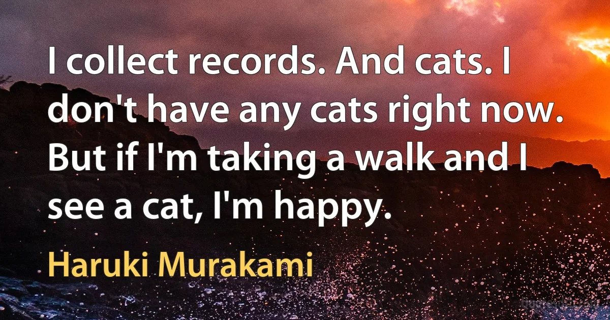 I collect records. And cats. I don't have any cats right now. But if I'm taking a walk and I see a cat, I'm happy. (Haruki Murakami)