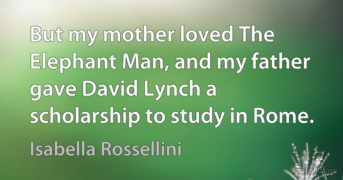 But my mother loved The Elephant Man, and my father gave David Lynch a scholarship to study in Rome. (Isabella Rossellini)