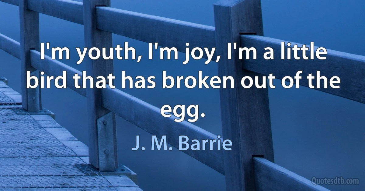 I'm youth, I'm joy, I'm a little bird that has broken out of the egg. (J. M. Barrie)