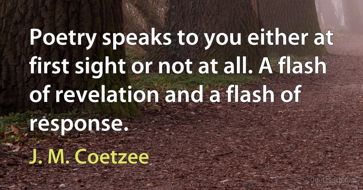 Poetry speaks to you either at first sight or not at all. A flash of revelation and a flash of response. (J. M. Coetzee)