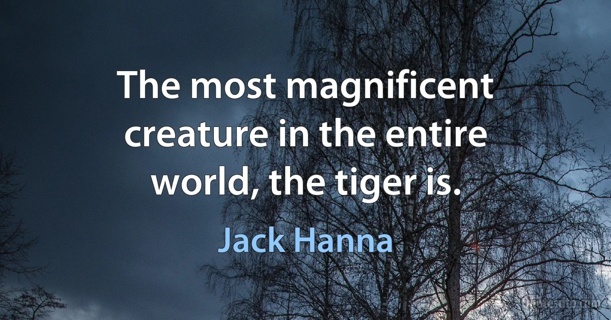 The most magnificent creature in the entire world, the tiger is. (Jack Hanna)