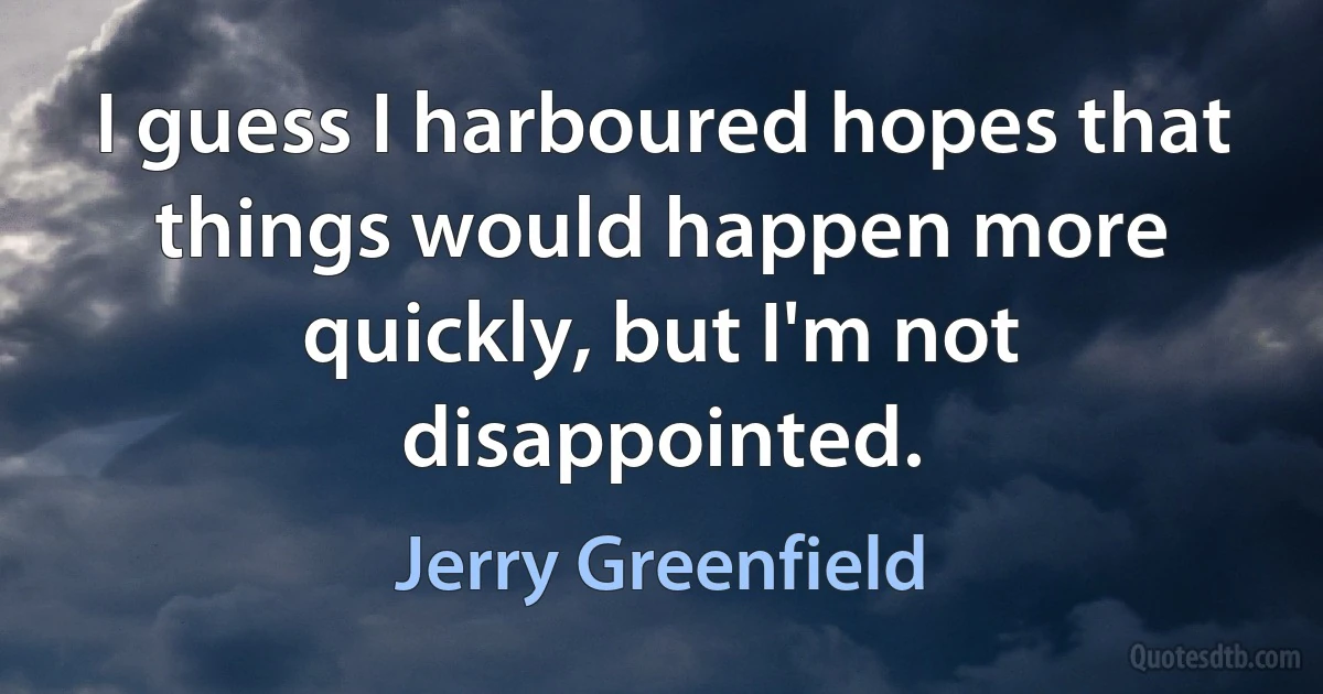 I guess I harboured hopes that things would happen more quickly, but I'm not disappointed. (Jerry Greenfield)