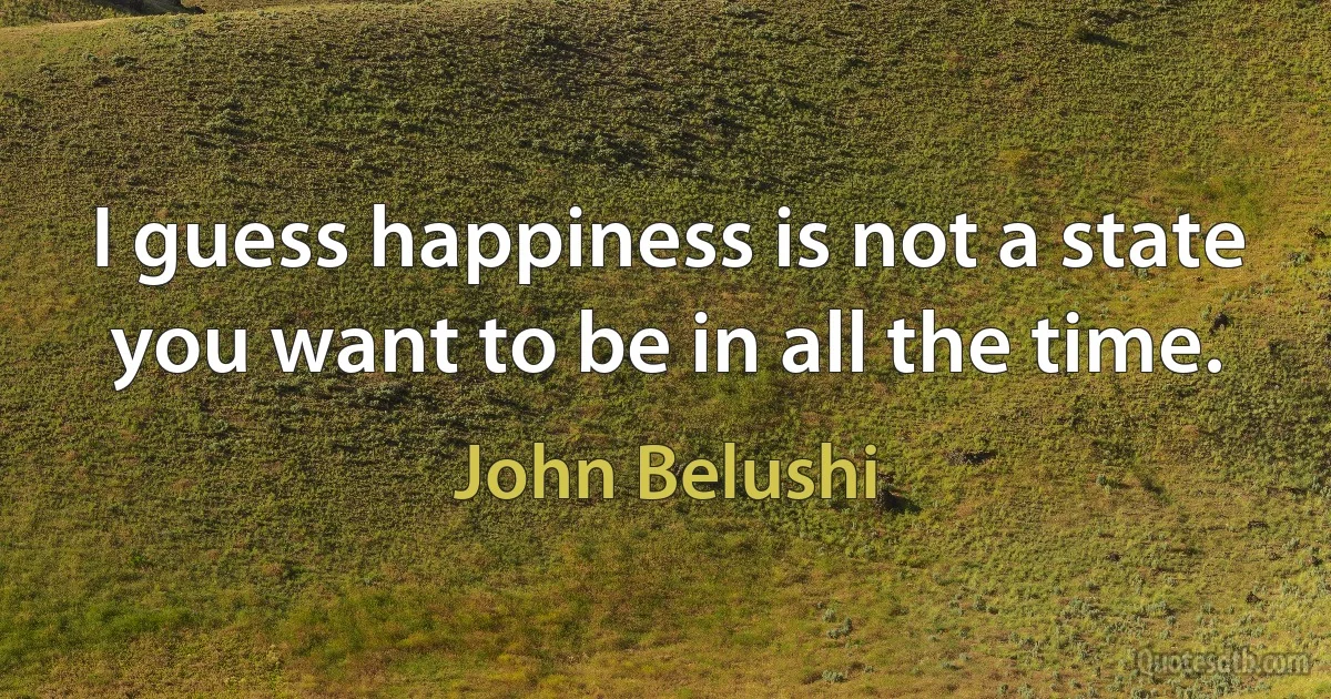 I guess happiness is not a state you want to be in all the time. (John Belushi)