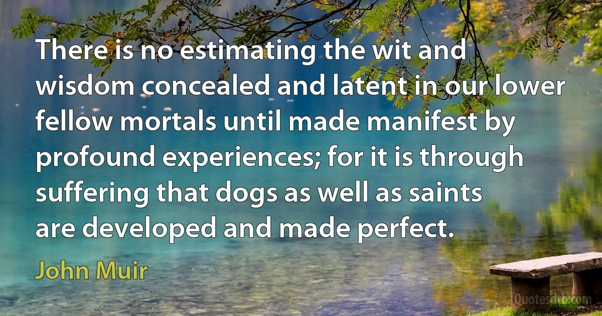 There is no estimating the wit and wisdom concealed and latent in our lower fellow mortals until made manifest by profound experiences; for it is through suffering that dogs as well as saints are developed and made perfect. (John Muir)