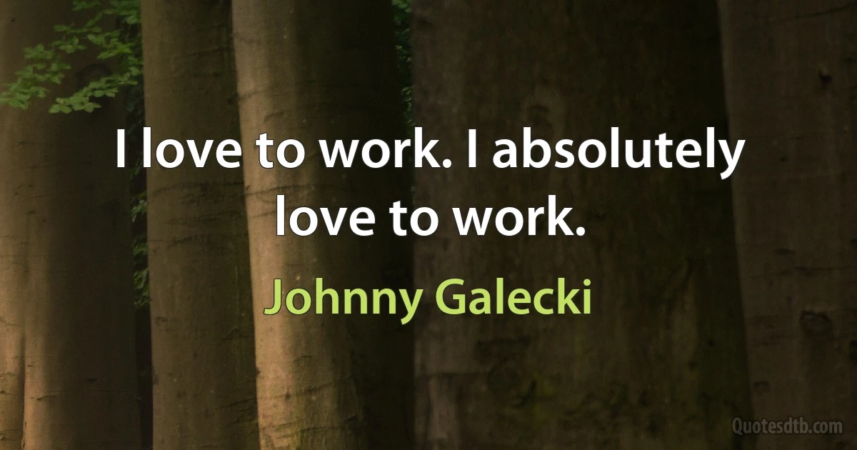 I love to work. I absolutely love to work. (Johnny Galecki)