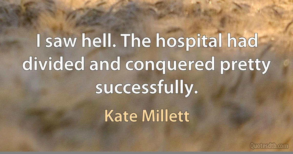 I saw hell. The hospital had divided and conquered pretty successfully. (Kate Millett)