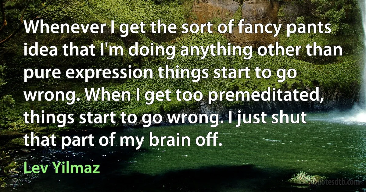 Whenever I get the sort of fancy pants idea that I'm doing anything other than pure expression things start to go wrong. When I get too premeditated, things start to go wrong. I just shut that part of my brain off. (Lev Yilmaz)