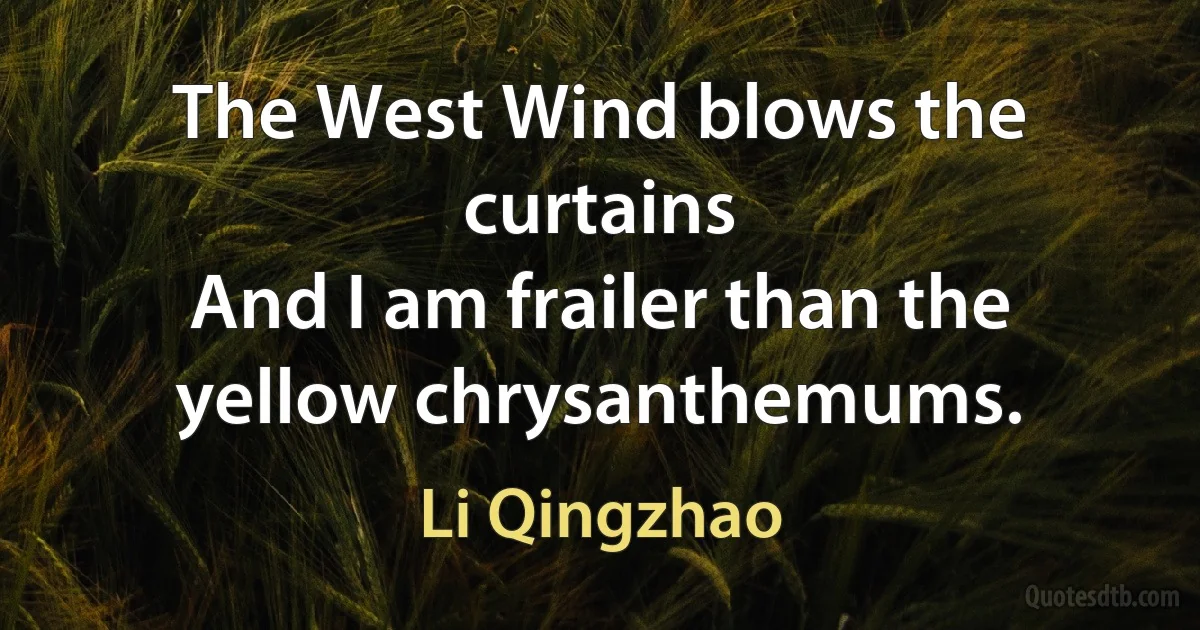 The West Wind blows the curtains
And I am frailer than the yellow chrysanthemums. (Li Qingzhao)