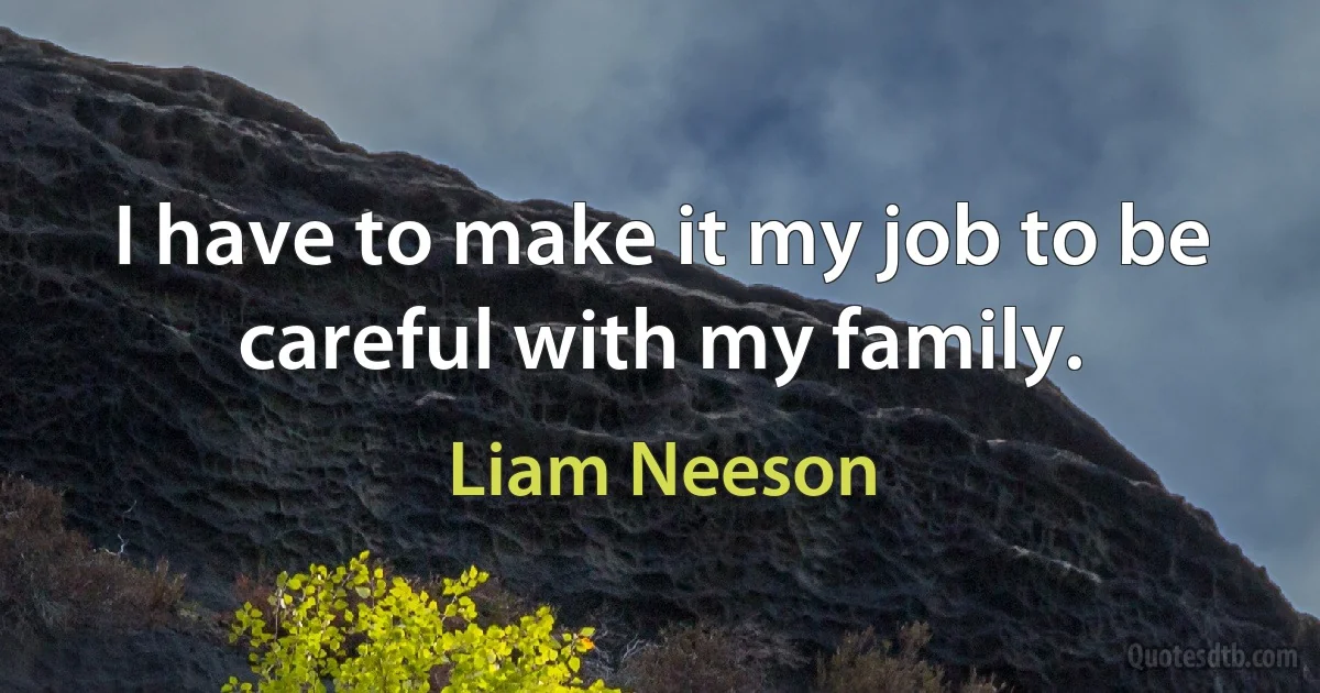 I have to make it my job to be careful with my family. (Liam Neeson)