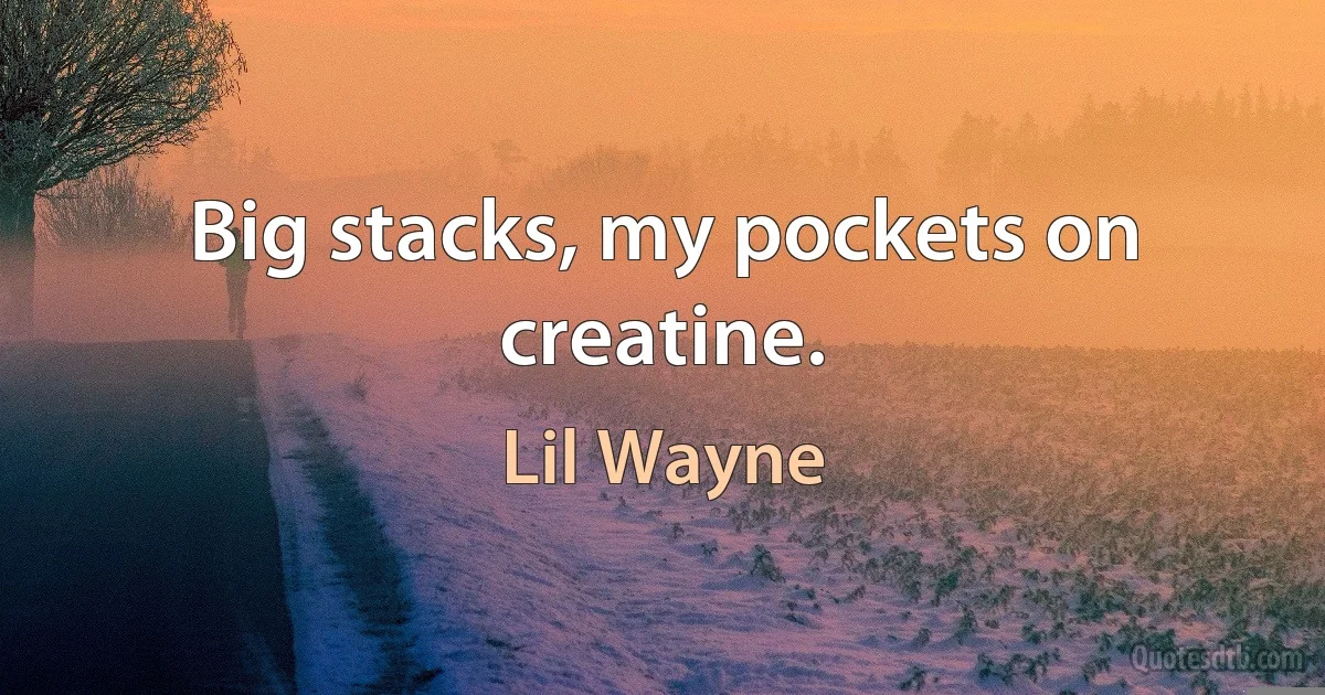 Big stacks, my pockets on creatine. (Lil Wayne)