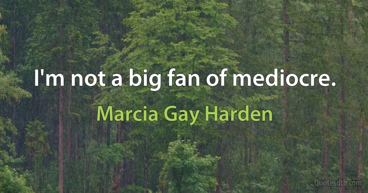 I'm not a big fan of mediocre. (Marcia Gay Harden)