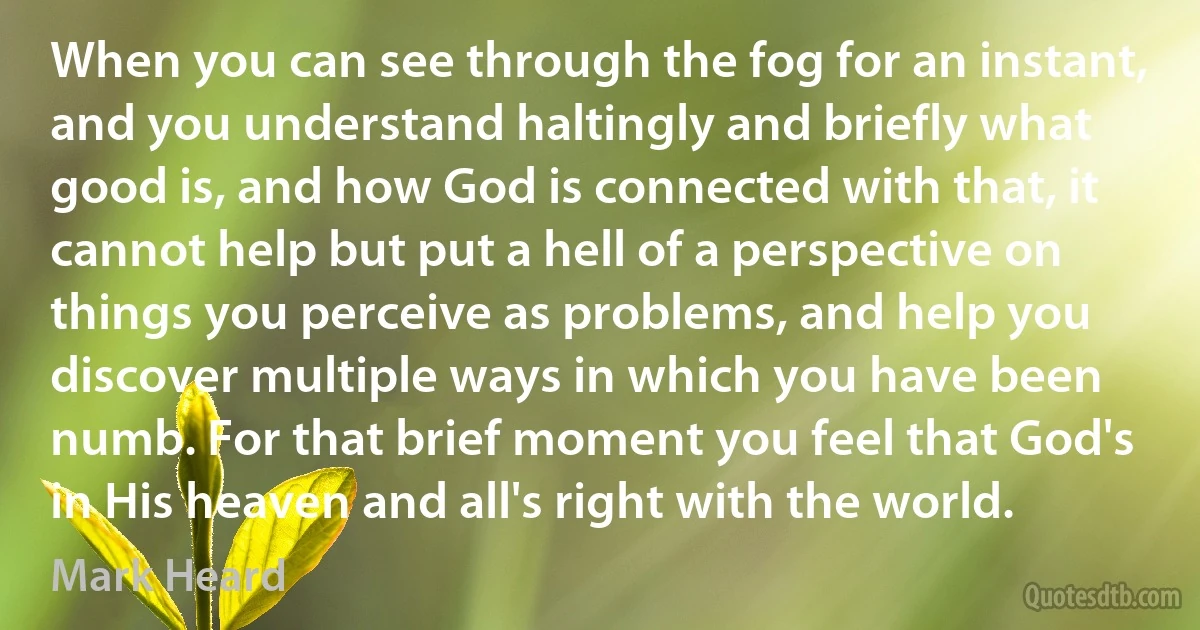 When you can see through the fog for an instant, and you understand haltingly and briefly what good is, and how God is connected with that, it cannot help but put a hell of a perspective on things you perceive as problems, and help you discover multiple ways in which you have been numb. For that brief moment you feel that God's in His heaven and all's right with the world. (Mark Heard)