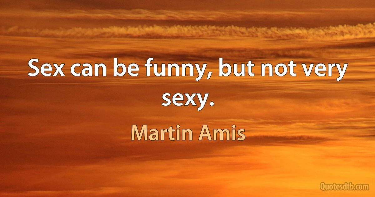 Sex can be funny, but not very sexy. (Martin Amis)