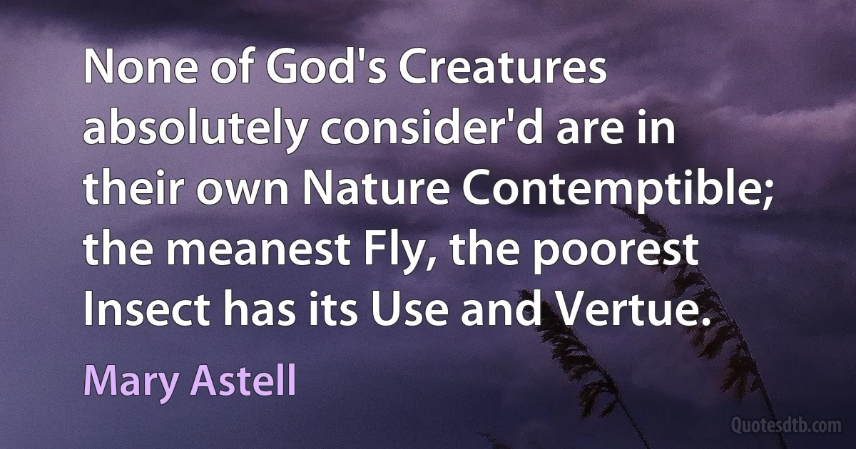 None of God's Creatures absolutely consider'd are in their own Nature Contemptible; the meanest Fly, the poorest Insect has its Use and Vertue. (Mary Astell)