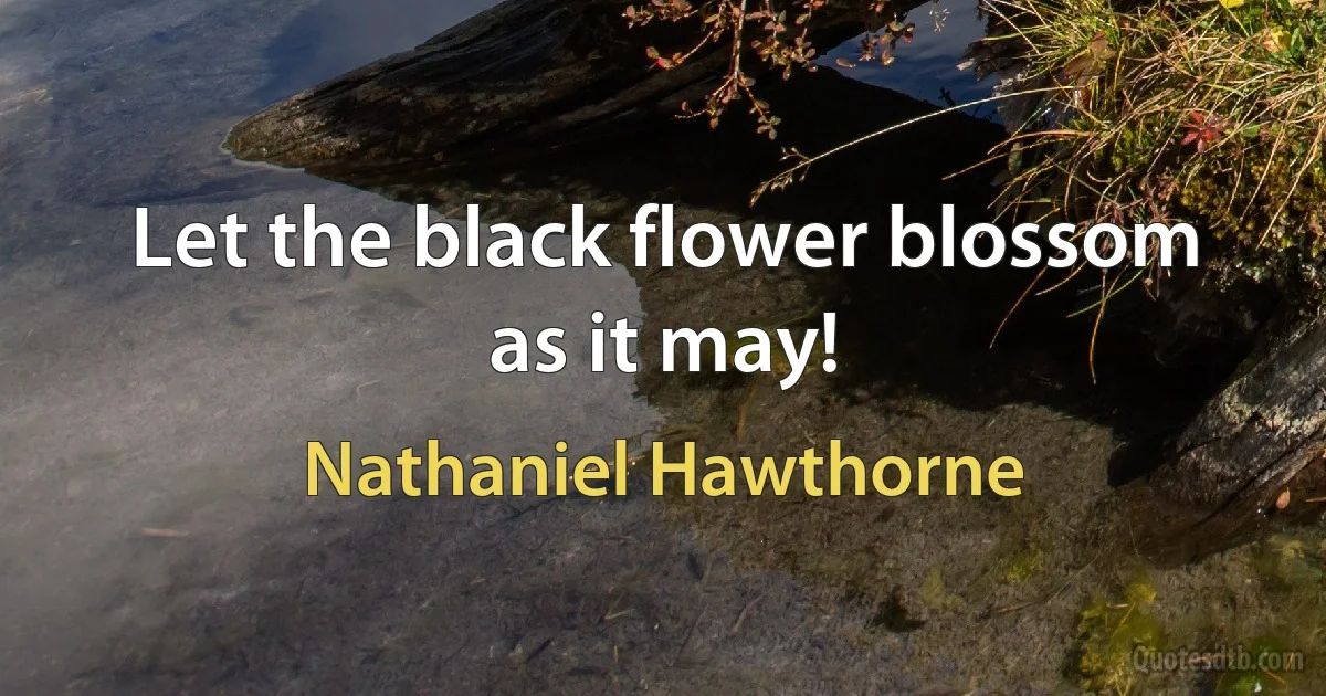 Let the black flower blossom as it may! (Nathaniel Hawthorne)