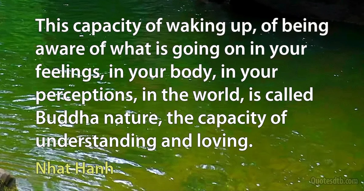 This capacity of waking up, of being aware of what is going on in your feelings, in your body, in your perceptions, in the world, is called Buddha nature, the capacity of understanding and loving. (Nhat Hanh)