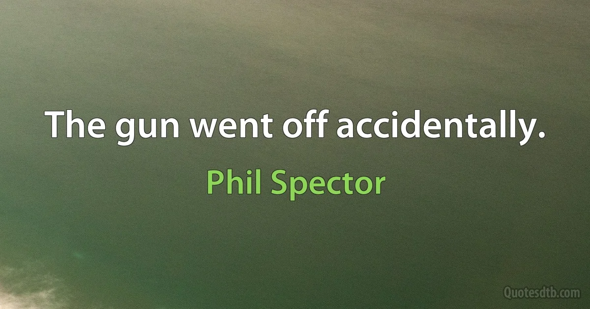 The gun went off accidentally. (Phil Spector)