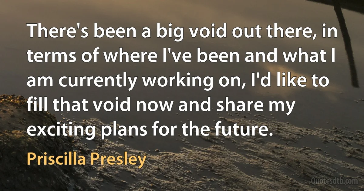 There's been a big void out there, in terms of where I've been and what I am currently working on, I'd like to fill that void now and share my exciting plans for the future. (Priscilla Presley)